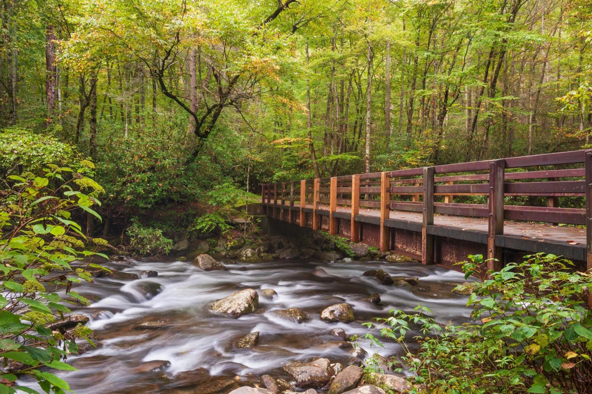 The Cozy Cove, Hot Tub, Wifi, 1089 Free Tickets Each Paid Day, Dollywood And More Сивиървил Екстериор снимка