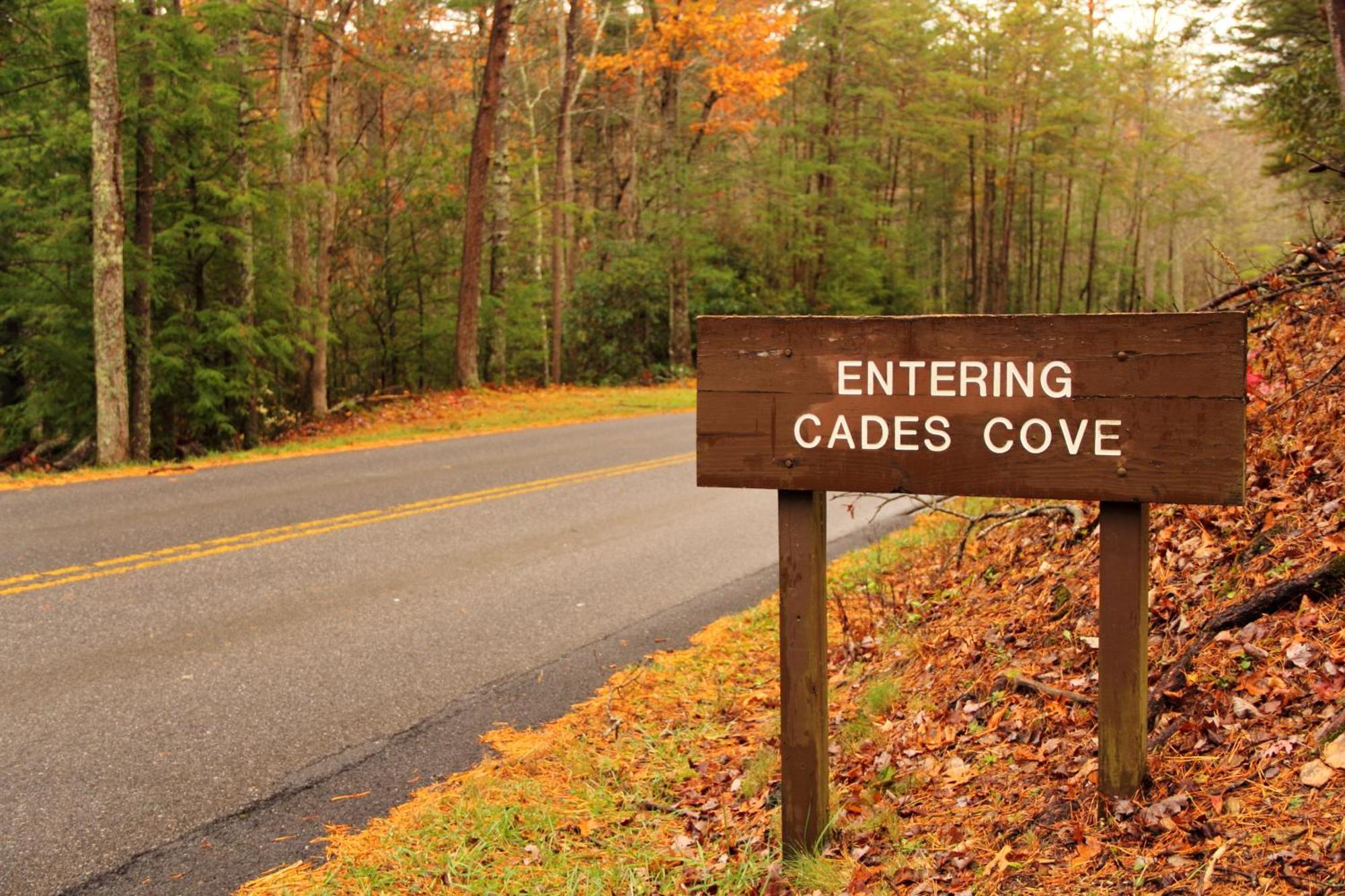 The Cozy Cove, Hot Tub, Wifi, 1089 Free Tickets Each Paid Day, Dollywood And More Сивиървил Екстериор снимка